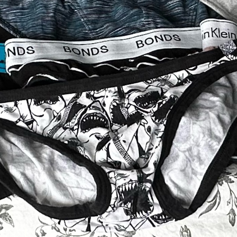 Shark Briefs